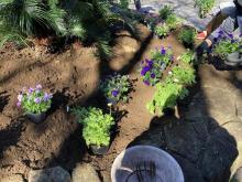 20221116はなぼら写真２