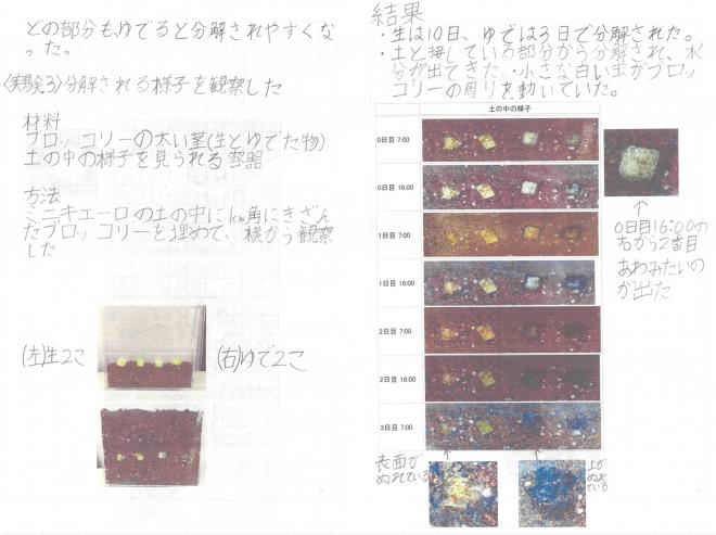 R7参考レポート1