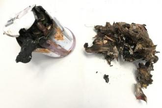 niihamahakkabutu2025042802-2