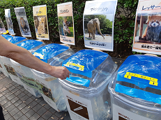 BREW at the ZOO 割りばし回収②