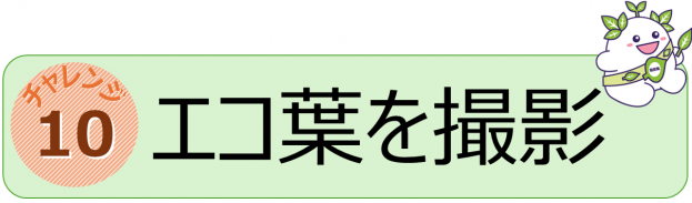 チャレンジ１０