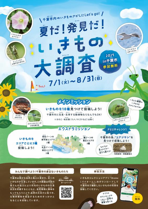 夏だ！発見だ！いきもの大調査2025in千葉市