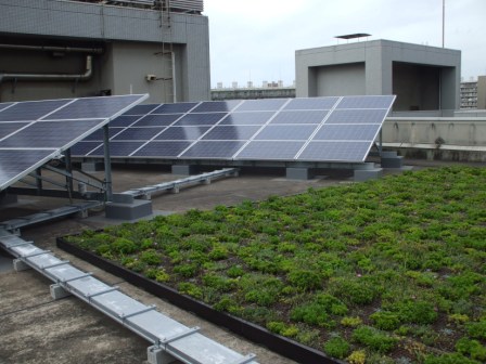 太陽光パネルと屋上緑化