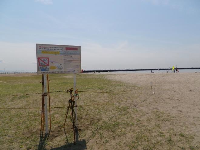 コアジサシ保護柵