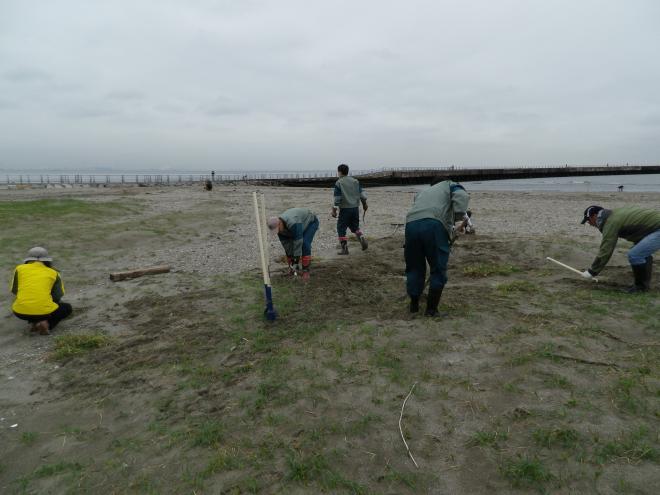 保護柵設置作業の様子