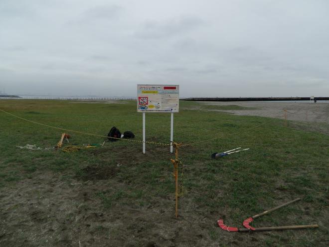 営巣保護地の様子