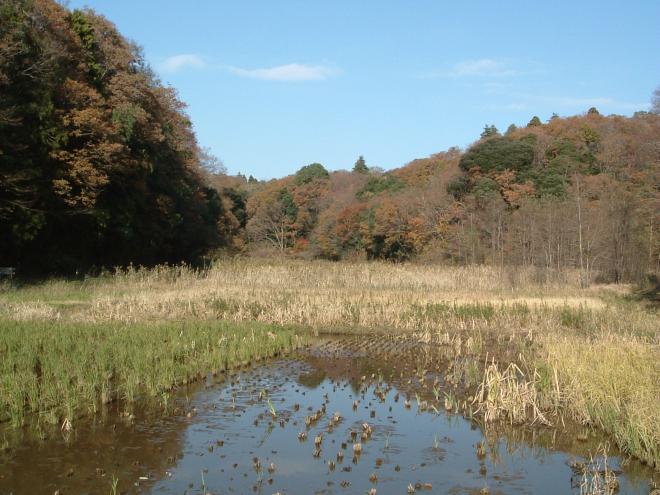 大草谷津田いきものの里の秋の風景