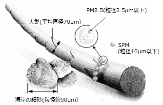 PM2.5及びSPMの大きさのイメージ図