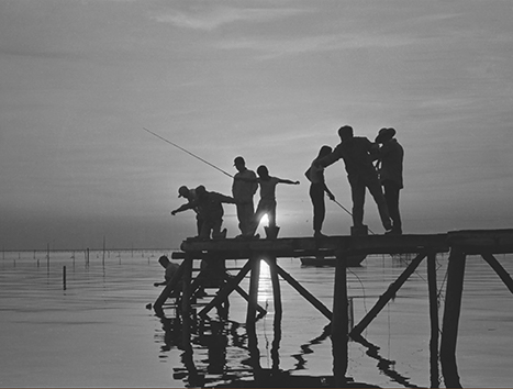 ハゼ釣りの様子