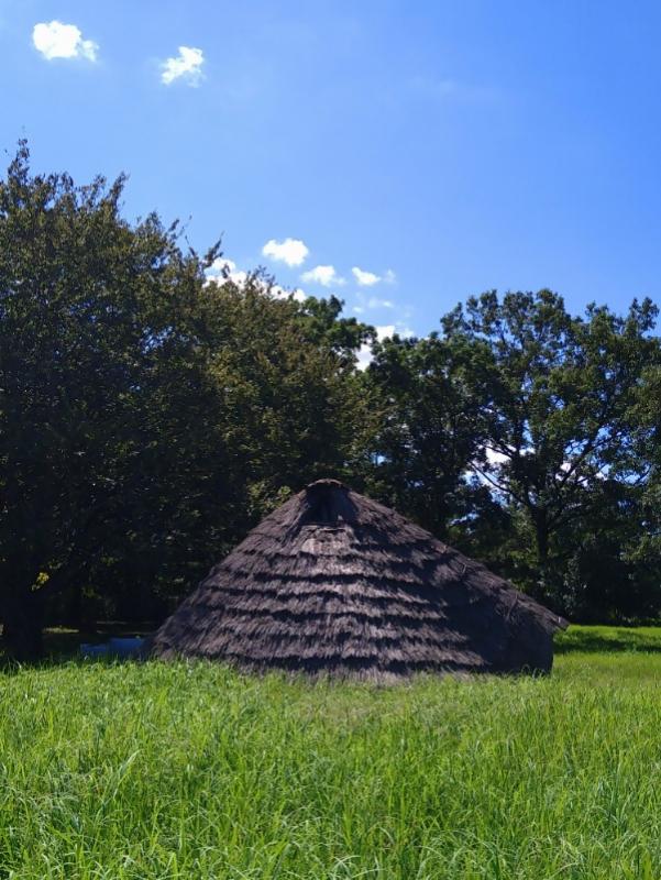 南貝塚復元住居