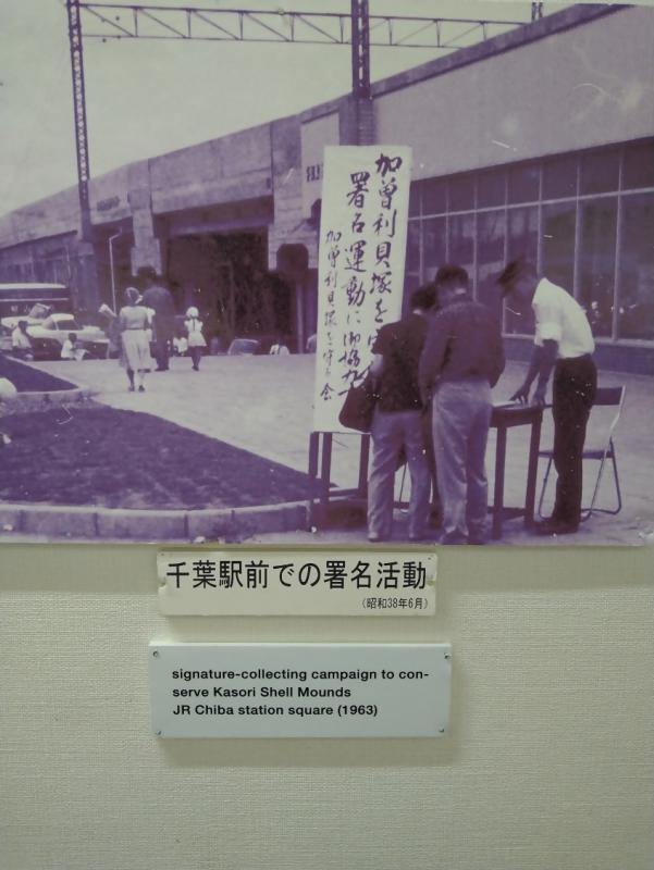 学生の保存活動