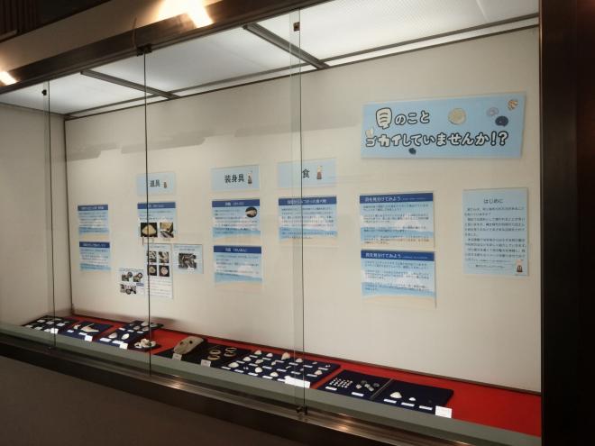 令和8年度実習展