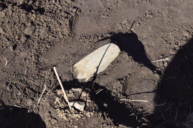 ませいせきふ１