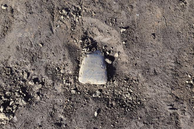 ませいせきふ２