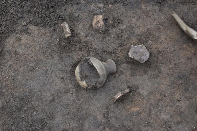 しゅつどじょうきょう