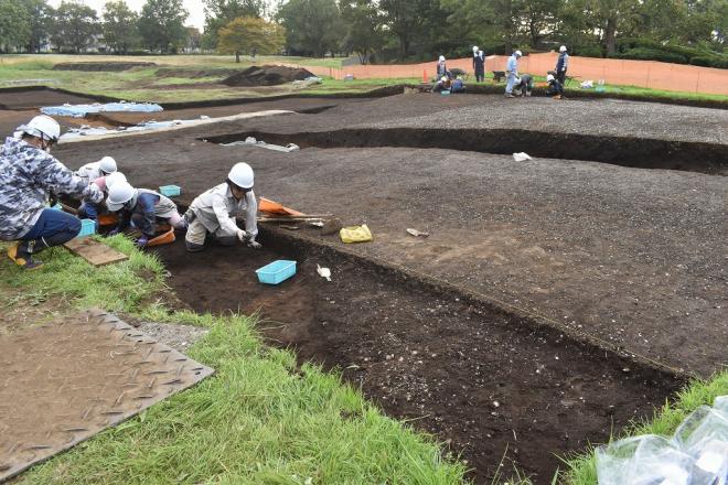 20201106_調査風景