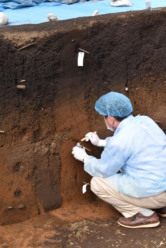 発掘調査2019091301