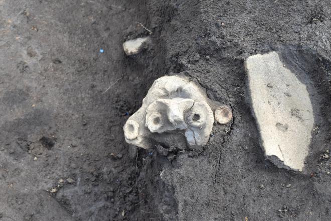 発掘調査2019091202