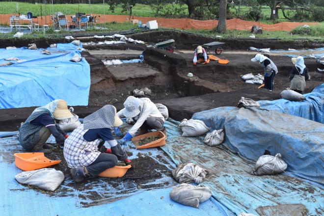 発掘調査2019091201