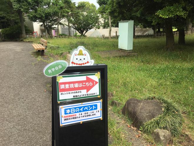 2019発掘記者発表