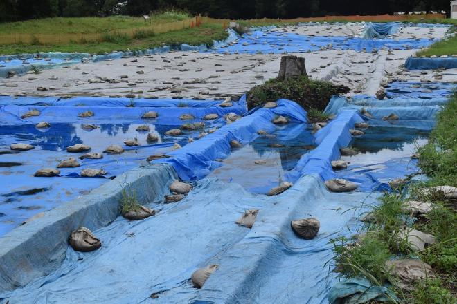 令和4年度加曾利貝塚発掘日誌7月15日