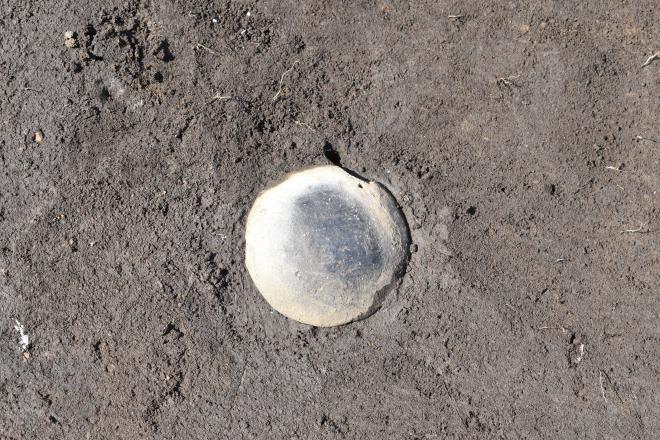 発掘調査日誌20190925