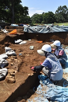 発掘調査2019083101