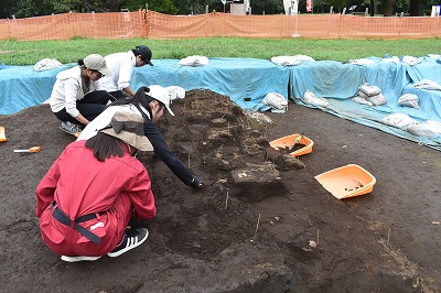 発掘調査2019090701