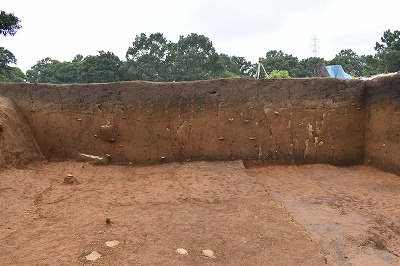 発掘調査2019090704