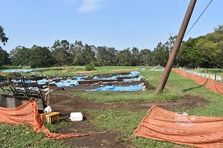 発掘調査2019091203