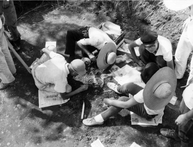 昭和37年の人骨調査風景(1)