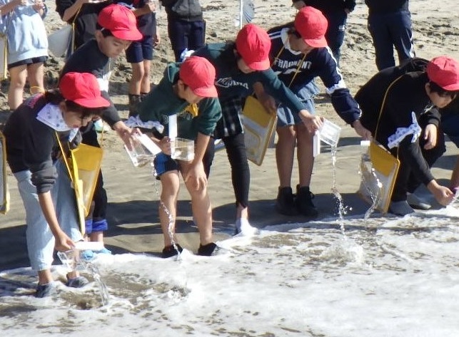 稚魚放流