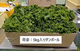 株式会社KNGファーム2