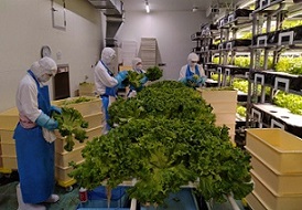 株式会社KNGファーム