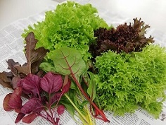 株式会社市原みつばち牧場2