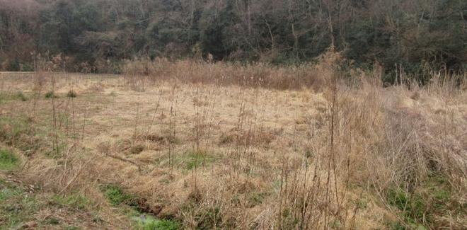 耕作放棄地整備事業実施前