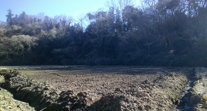 耕作放棄地整備事業実施後