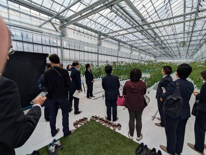 ハウス内の見学