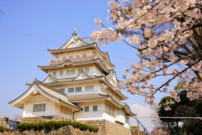 桜と千葉城の写真