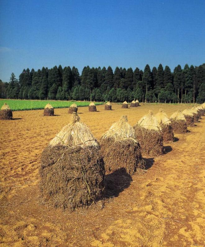 画像に関する簡単な説明