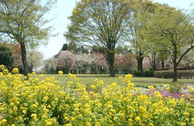 画像に関する簡単な説明