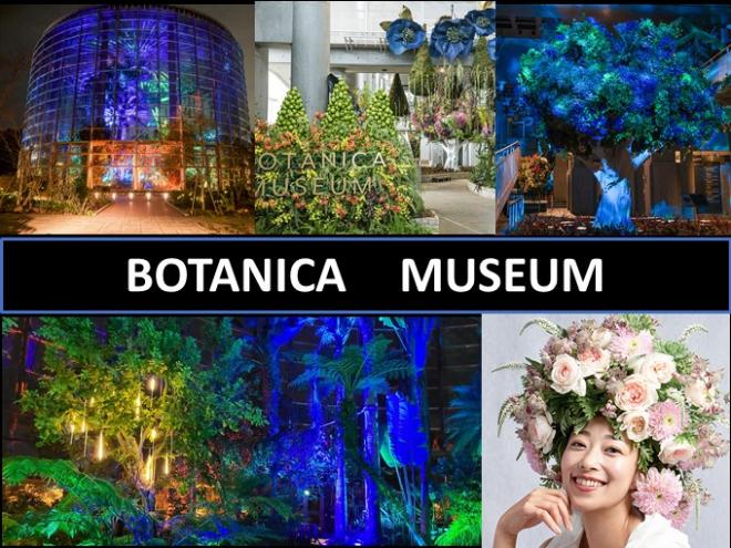 02_BOTANOCA