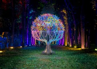 ボタニカミュージアム