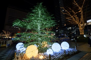 シンボルツリー