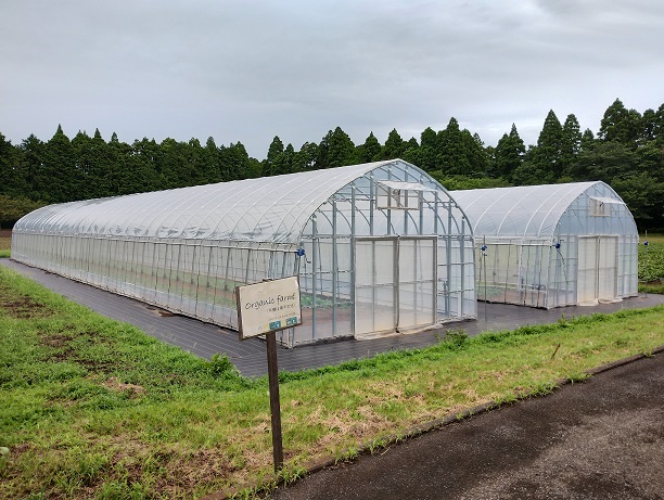令和6年に設置した有機農業栽培実証実験を行うパイプハウス