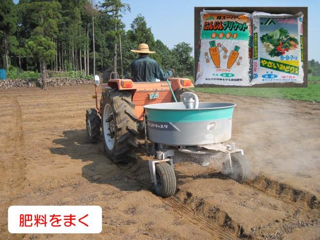 秋冬ニンジン肥料