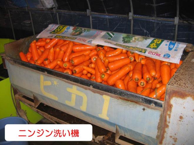 秋冬ピカ1