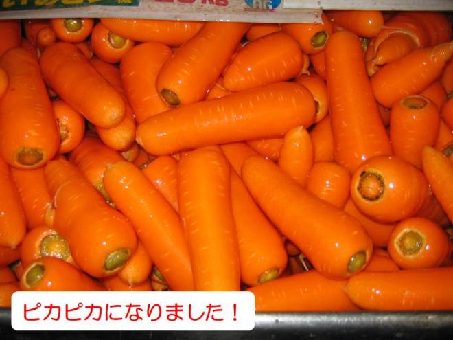 秋冬ピカピカ
