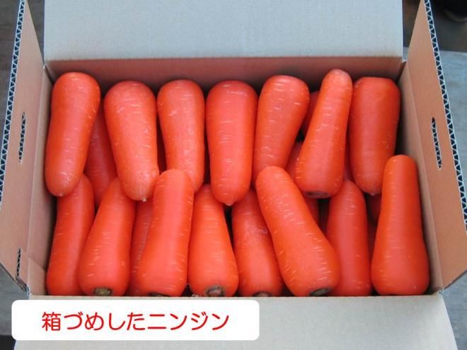 秋冬箱