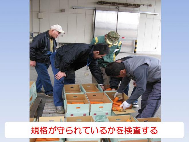 秋冬検査